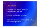 Biomechanic of bone 3페이지