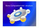 Biomechanic of bone 4페이지