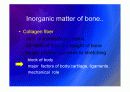 Biomechanic of bone 7페이지