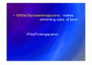 Biomechanic of bone 8페이지