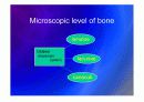 Biomechanic of bone 9페이지