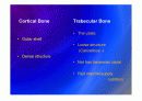 Biomechanic of bone 12페이지