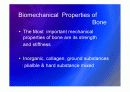 Biomechanic of bone 14페이지