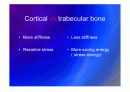 Biomechanic of bone 17페이지
