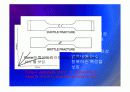 Biomechanic of bone 18페이지