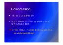 Biomechanic of bone 22페이지