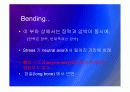 Biomechanic of bone 24페이지