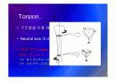 Biomechanic of bone 25페이지