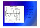Biomechanic of bone 28페이지