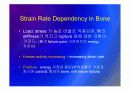 Biomechanic of bone 30페이지