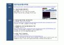 기능성식품 부작용 3페이지