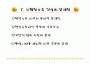 신행정수도 건설의 문제점과 앞으로의 방향. 12페이지