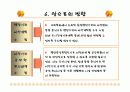신행정수도 건설의 문제점과 앞으로의 방향. 13페이지