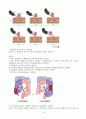 대장암 케이스 스터디와 간호과정입니다 8페이지