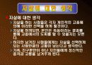 [파워포인트]자살에 대하여 11페이지