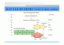 심폐 치료에 관하여 14페이지