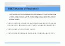 심폐 치료에 관하여 32페이지