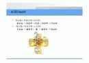 심폐 치료에 관하여 44페이지