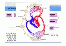 심폐 치료에 관하여 45페이지