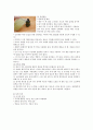 천연화장품에 관하여 4페이지