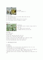 천연화장품에 관하여 5페이지