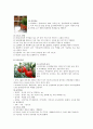 천연화장품에 관하여 6페이지