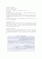 과학실험 프로그램 구안적용을 통한 창의적 사고와 탐구능력 신장방안 12페이지