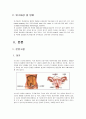 난소암 환자 케이스 4페이지