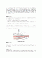 난소암 환자 케이스 16페이지