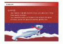 마케팅-코카콜라 18페이지