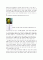 마케팅-코카콜라 40페이지