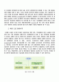 사업계획서-허브와인 28페이지
