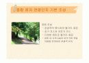 종합 레저 관광단지 조성 3페이지