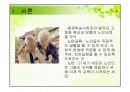 노인교육 프로그램종류와 문제점 및 해결방안 3페이지