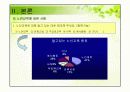 노인교육 프로그램종류와 문제점 및 해결방안 12페이지