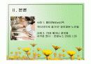 노인교육 프로그램종류와 문제점 및 해결방안 28페이지