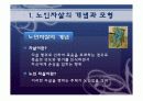 노인 자살 3페이지