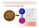 노인의 자원봉사 15페이지