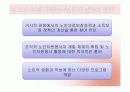 노인의 자원봉사 23페이지