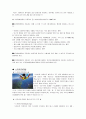 항공스포츠의 종류 및 특성 2페이지
