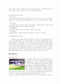 항공스포츠의 종류 및 특성 6페이지