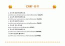 신대체요법 10페이지
