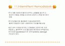 신대체요법 17페이지