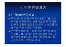 장애인복지전달체계 - 장애인복지의 전달체계, 공공전달체계, 민가전달체계, 장애인복지 전달체계 문제점 15페이지