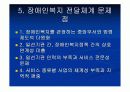 장애인복지전달체계 - 장애인복지의 전달체계, 공공전달체계, 민가전달체계, 장애인복지 전달체계 문제점 18페이지
