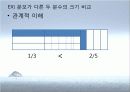 수학교육론  '스켐프' 파워포인트 11페이지