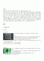 천연재료를 이용한 피부관리 1페이지