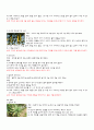 천연재료를 이용한 피부관리 2페이지