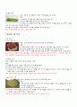 천연재료를 이용한 피부관리 4페이지