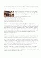 유럽배낭여행계획서 14페이지